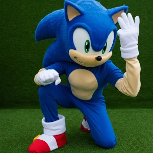 Sonic costume